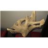 Image 2 : Nature-Sculpted Wood Form - Mounted on Base16" Tall  - Natural Wood