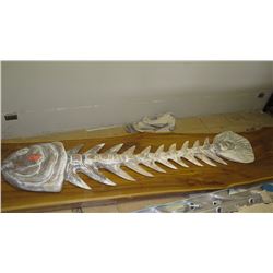 X-Lrg Carved Solid Wood Fish Skeleton - Light Wood, 103"L, 23"W (Back is Flat)