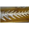 Image 3 : X-Lrg Carved Solid Wood Fish Skeleton - Light Wood, 103"L, 23"W (Back is Flat)