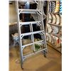 Image 2 : 13 Foot Utility Ladder