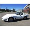 Image 2 : 1980 CHEVROLET CORVETTE COUPE