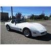 Image 3 : 1980 CHEVROLET CORVETTE COUPE
