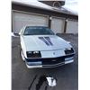 Image 2 : FRIDAY NIGHT! 1982 CHEVROLET CAMARO INDIANAPOLIS 500 PACE CAR
