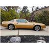 Image 1 : 1978 PONTIAC TRANS AM 2-DOOR