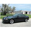 Image 2 : FRIDAY NIGHT! 2001 FORD MUSTANG BULLITT COUPE