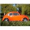 Image 1 : 1983 VOLKSWAGON BEETLE 2-DOOR COUPE