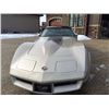 Image 2 : 1982 CHEVROLET CORVETTE COLLECTOR EDITION CROSS FIRE INJECTION