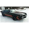 Image 1 : 1981 CHEVROLET CAMARO Z28 T-TOP