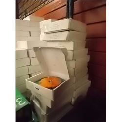 WERKMASTER GRINDING DISKS - 4 3/4"  - 150GRIT - EXTRA SOFT - ALL