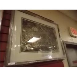 FRAMED LIMITED EDITION PRINT - TERRITORIAL DISPUTE - WRENS - ALAN HUNT - ESTIMATED GALLERY PRICE $42