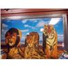 Image 2 : FRAMED PRINT ON BOARD "WILD CATS