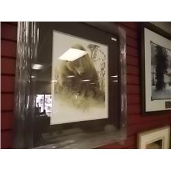 FRAMED LIMITED EDITION PRINT - GRIZZLY IN THE CHOKE CHERRIES - AMY BRACKENBURY - ESTIMATED GALLERY P