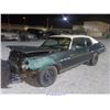 Image 2 : 1974 - BUICK APOLLO