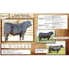 Image 1 : Lot 13 - Flying N Block 6038
