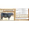 Image 1 : Lot 15 - Flying N Blowback 6040