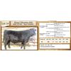 Image 1 : Lot 18 - Flying N Boundary 6043