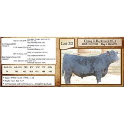 Lot 32 - Flying N Backtrack 6074