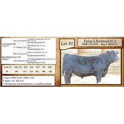 Lot 32 - Flying N Backtrack 6074