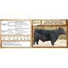 Image 1 : Lot 37 - Flying N Big Time 6082