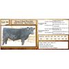 Image 1 : Lot 38 - Flying N Barb Wire 6083