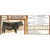 Image 1 : Lot 39 - Flying N Bootstrap 6086