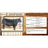 Image 1 : Lot 41 - Flying N Blackjack 6089