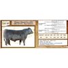 Image 1 : Lot 48 - Flying N Brand New 6100