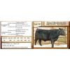 Image 1 : Lot 50 - Flying N Blockbuster 6102