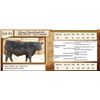 Image 1 : Lot 55 - Flying N Back Road 6107