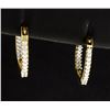 Image 1 : 1/4 ct TW Diamond Hoop Earrings