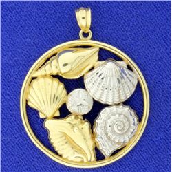 Shell Pendant