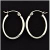 Image 1 : White Gold Hoop Earrings
