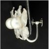 Image 2 : Clip-On Pearl Flower Earrings