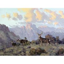 Bill Freeman, Oil on Canvas