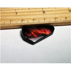 RED FIRE AMMOLITE GEMSTONE