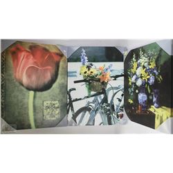 LOT OF THREE FLOWER PICTURES