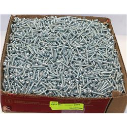 LARGE LOT OF SCREWS