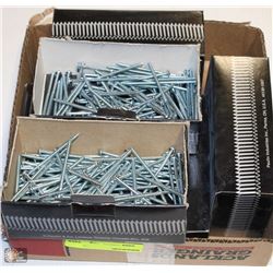 LOT OF 8X3 WOOD SCREWS