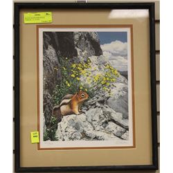 MOUNTAIN BLOOMS BY R.S. PARKER, L.E. 127/950