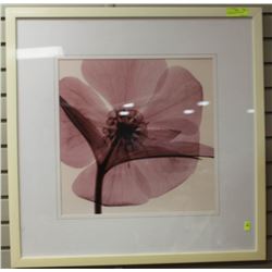 2 FRAMED FLOWER PICTURES 30"X30" EACH