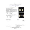 Image 3 : 14KT Two Tone Gold 1.44ctw Diamond Earrings
