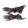 Image 1 : Underworld: Awakening Lycan Hands Movie Props