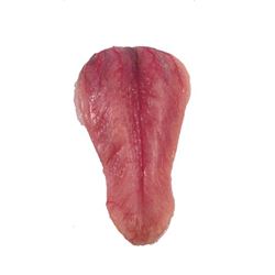 Underworld: Awakening Lycan Tongue Movie Props