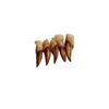 Image 1 : Awakening: Jacob (Stephen Rea) Finger Nail Tips Movie Props