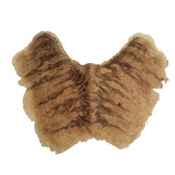 Awakening: Jacob (Stephen Rea) SFX Chest Piece Movie Props