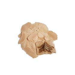 Awakening: Jacob (Stephen Rea) SFX Makeup Pieces Movie Props