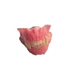 Blood Wars: Lycan Jaw & Teeth Mold Movie Props