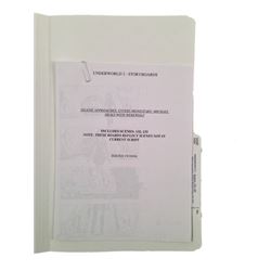 Underworld: Evolution Storyboards