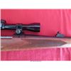Image 5 : WINCHESTER 670-30-06SPRG