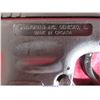Image 3 : SPRINGFIELD ARMORY XD